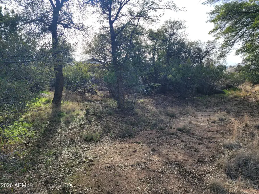 23234 S Mountainaire Drive, Yarnell, AZ 85362 - #3