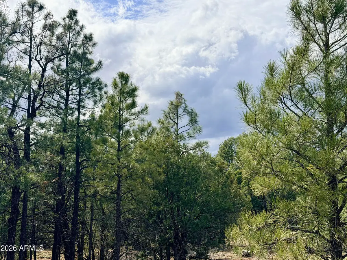 2588 Spoonbill Drive #7, Happy Jack, AZ 86024 - #1