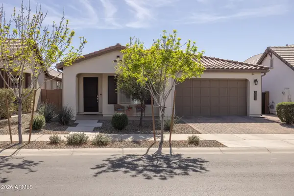 20893 E Macaw Drive, Queen Creek, AZ 85142