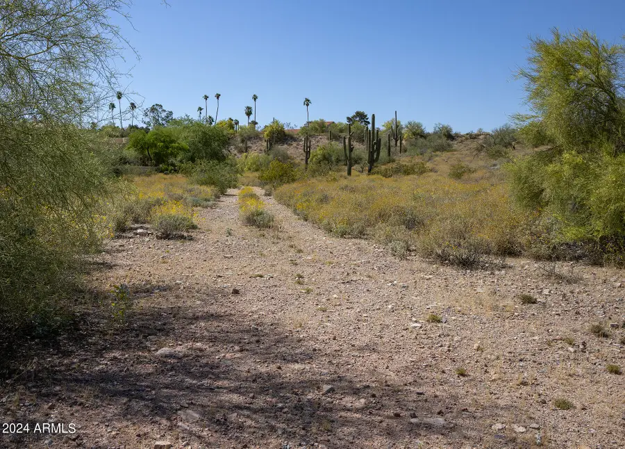 11008 N Appian Way #1A, Fountain Hills, AZ 85268 - #2