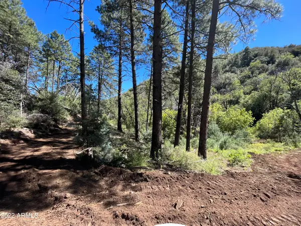 00 S Alexandra Road, Crown King, AZ 86343