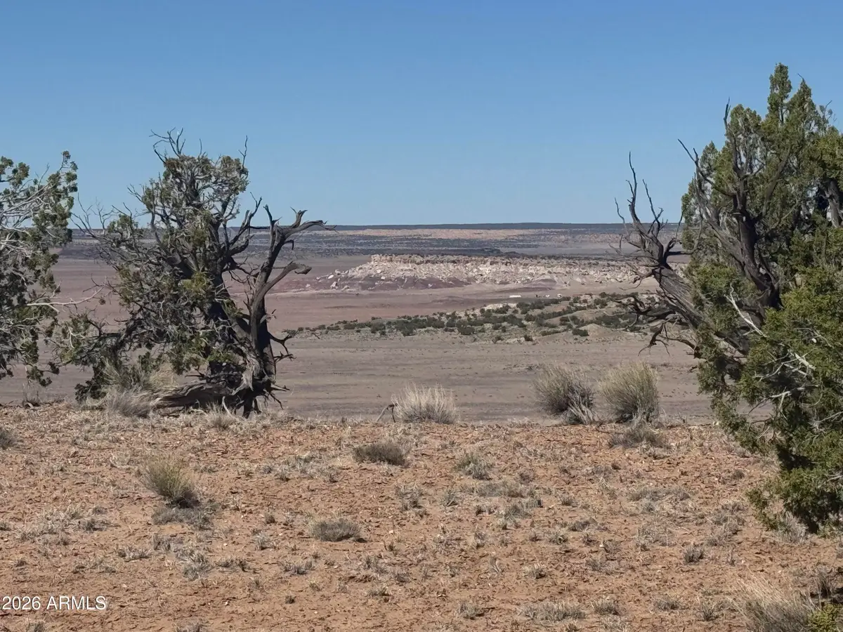 Lot 96 Bonito Valley Ranch -- #96, Saint Johns, AZ 85936 - #1