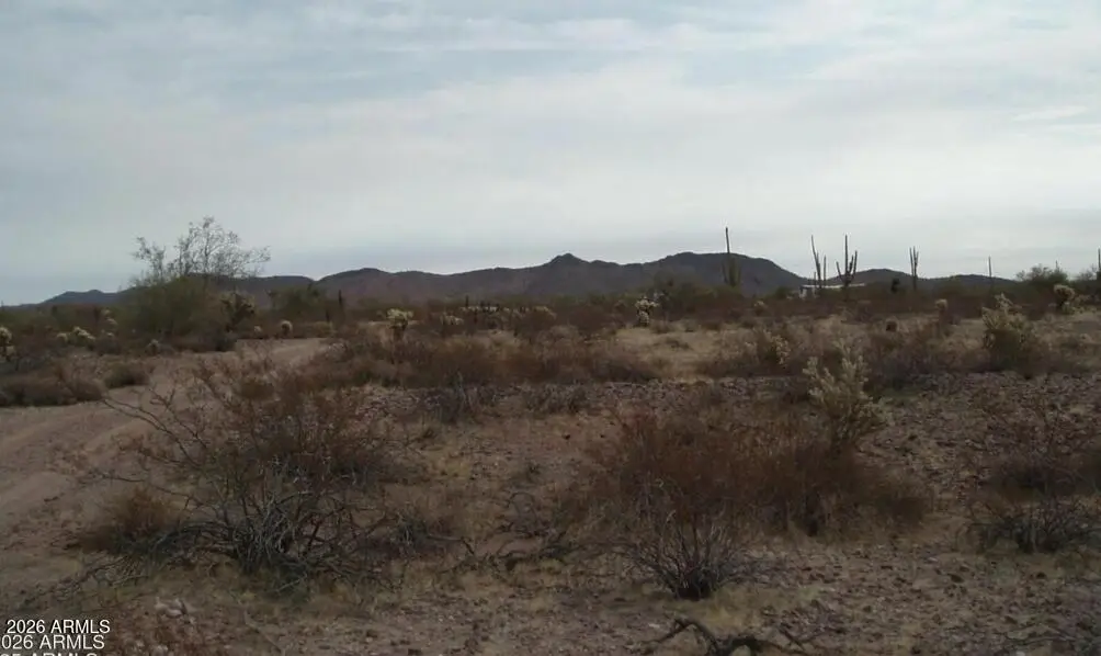 29900 N 315th Avenue #96 7, Wittmann, AZ 85361 - #1