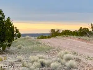 TBD Co Rd N6659 36.25 Acres --, Saint Johns, AZ 85936 - #3