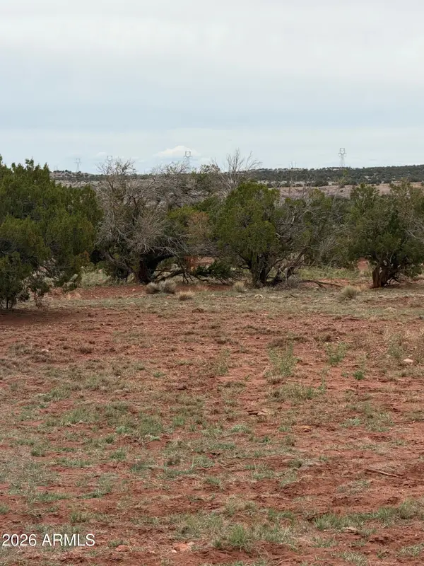 N6126 N N6126 -- #20244012, St Johns, AZ 85936