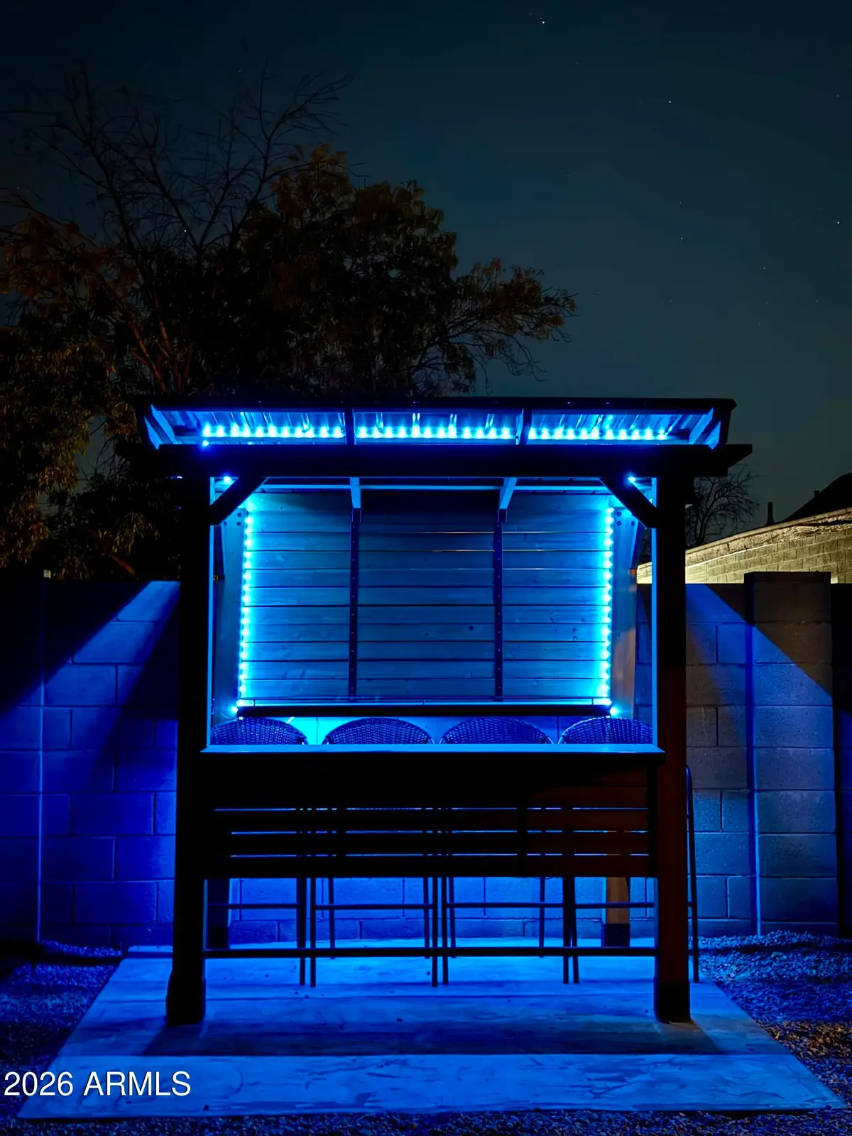 1523 W Plana Avenue, Mesa, AZ 85202 - #1