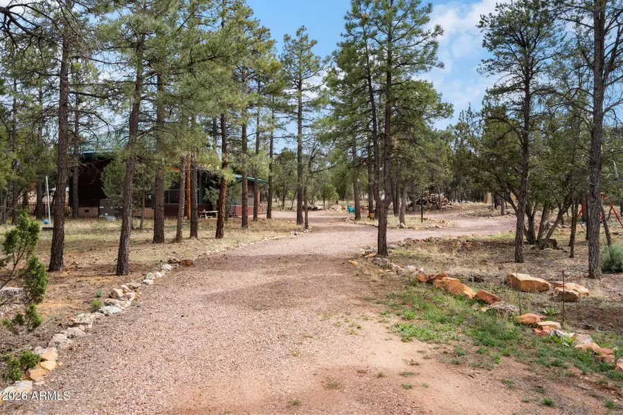 2095 Ranger Road, Overgaard, AZ 85933 - #3