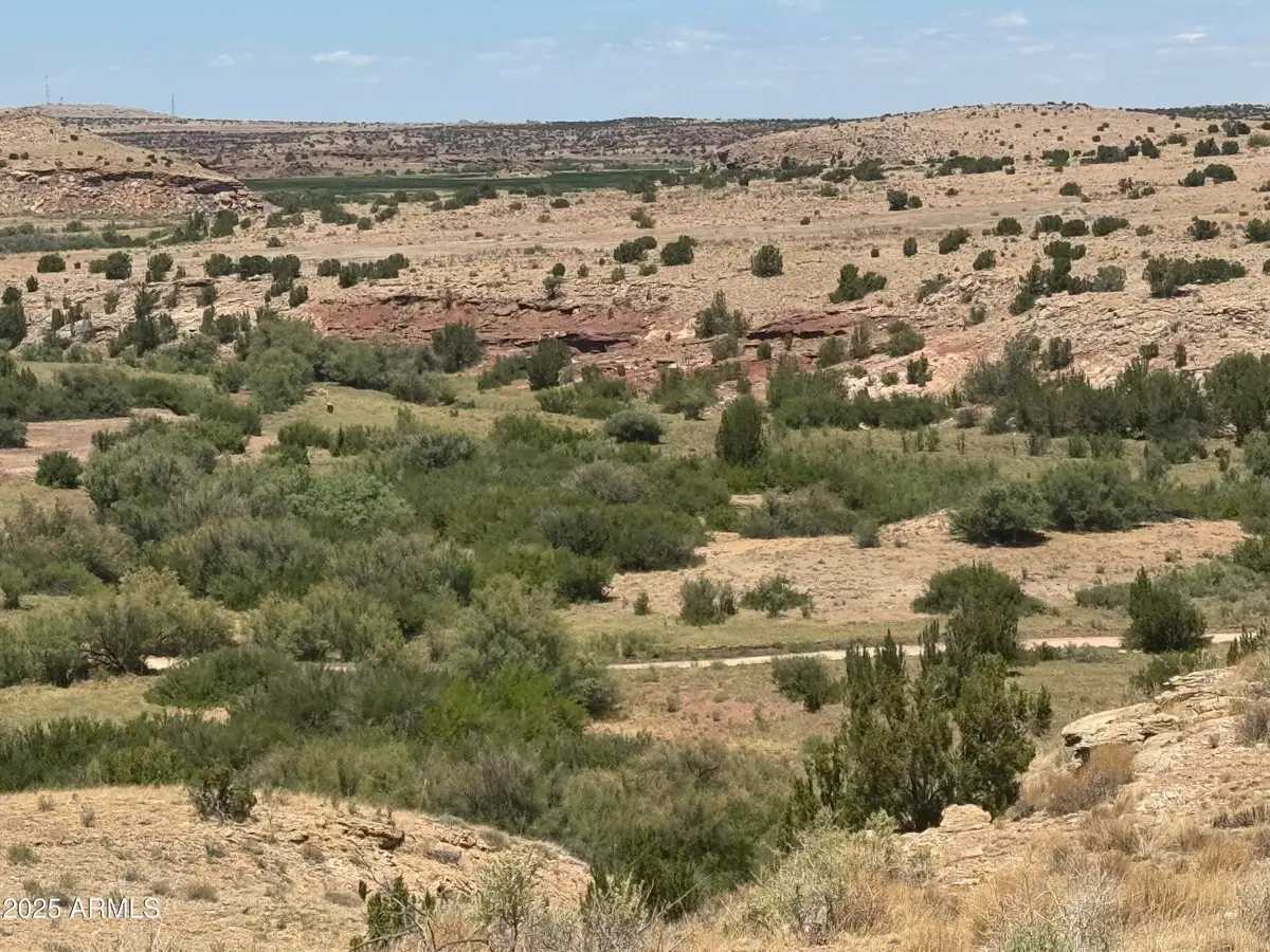 Lot 95 River Springs Ranch -- #095, Saint Johns, AZ 85936 - #1
