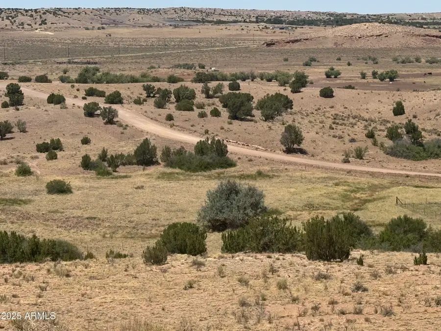 Lot 95 River Springs Ranch -- #095, Saint Johns, AZ 85936 - #3
