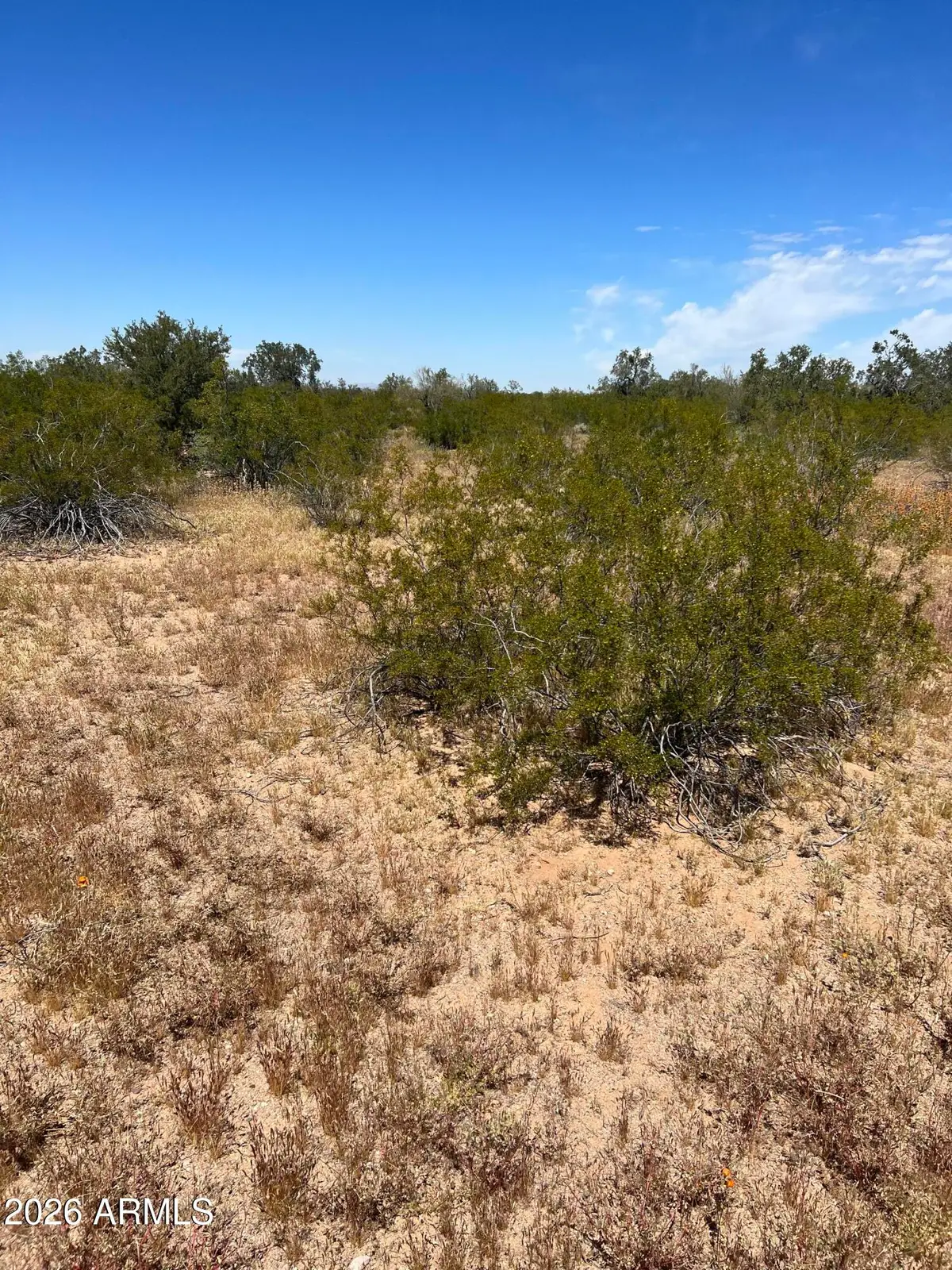 0 X --, Eloy, AZ 85131 - #1