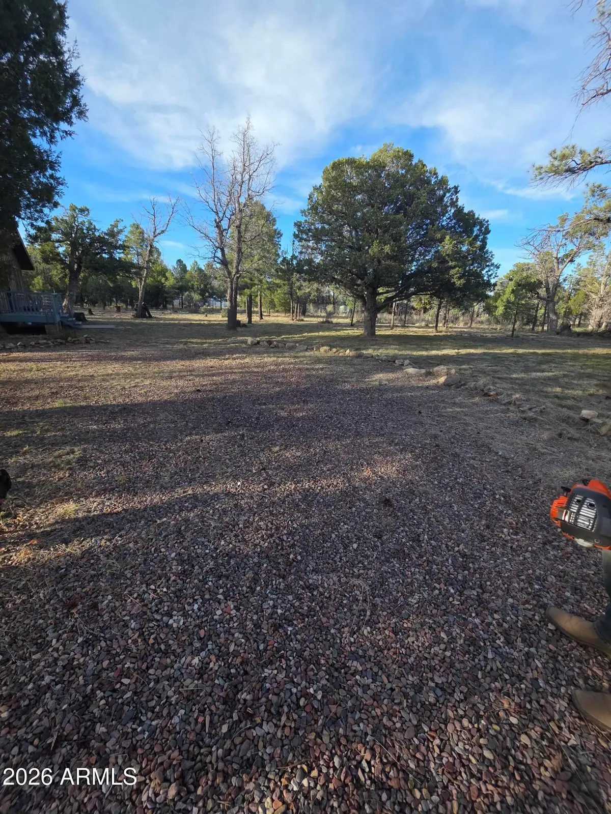 5823 Cougar Drive, Happy Jack, AZ 86024 - #1