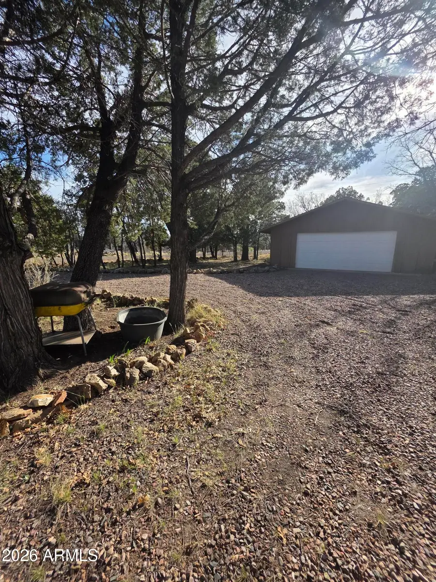 5823 Cougar Drive, Happy Jack, AZ 86024 - #3
