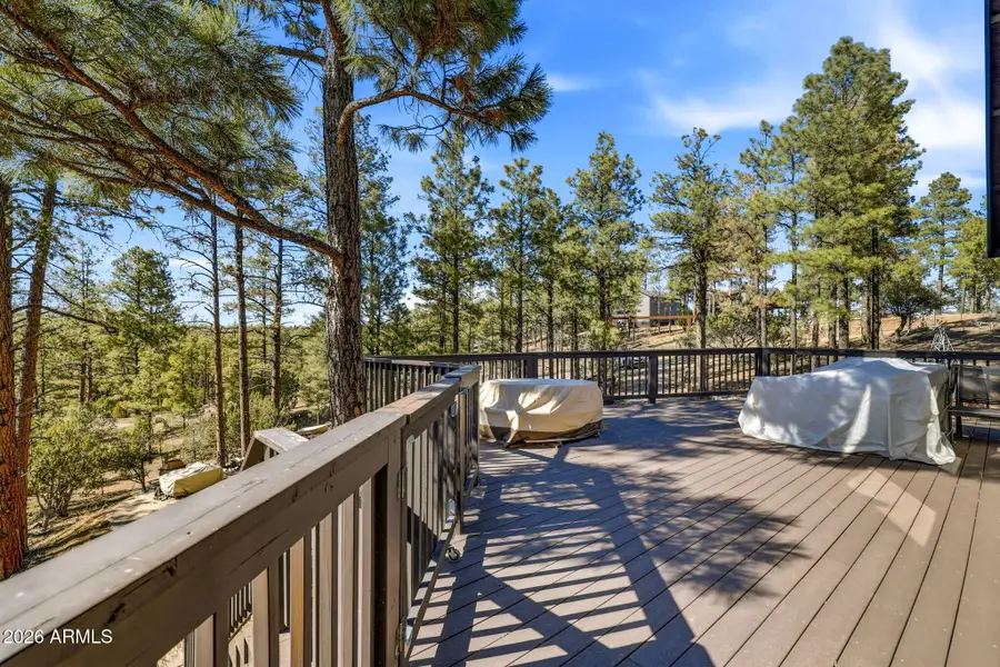 2371 Florian Meadow Trail, Overgaard, AZ 85933 - #3