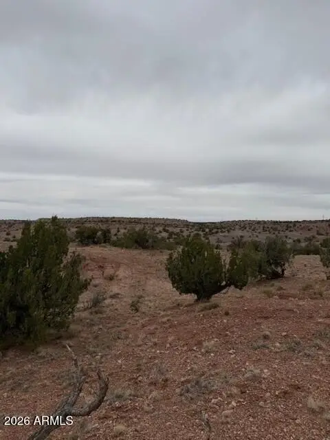 N6124 N N6124 -- #202-44-022, St Johns, AZ 85936