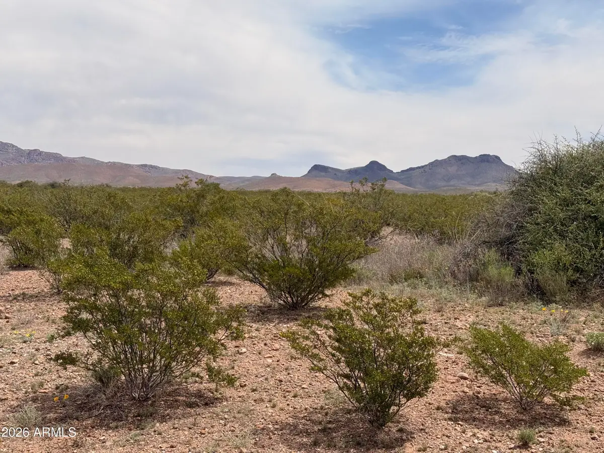 Lot 3969 N Valladolid Drive #3969, Douglas, AZ 85607 - #1