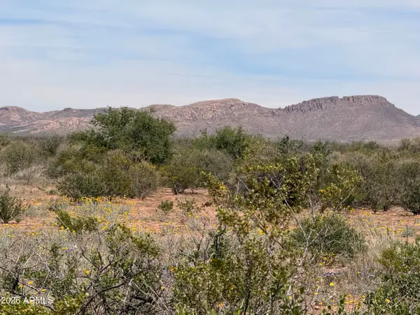 Lot 3940 N Valladolid Drive #3940, Douglas, AZ 85607