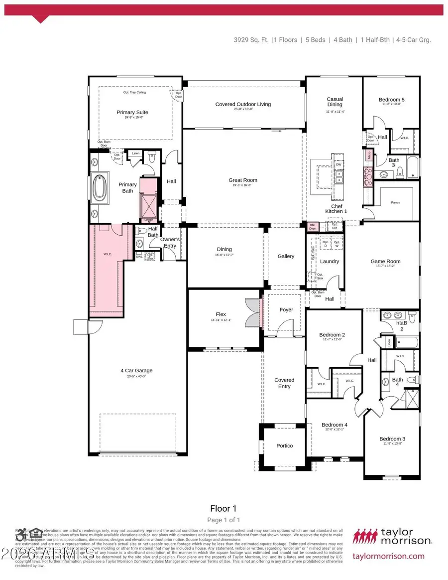 3374 E Aster Drive, Chandler, AZ 85286 - #3