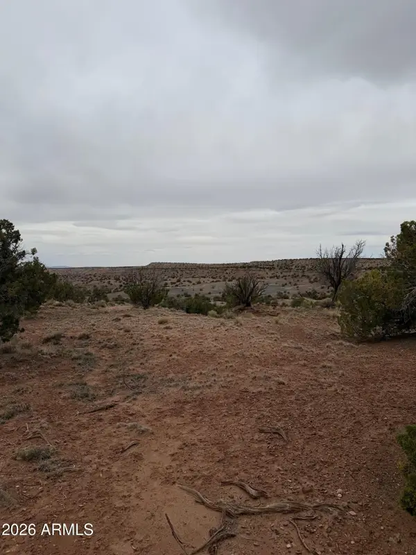 N6124 N N6124 -- #20245008, St Johns, AZ 85936