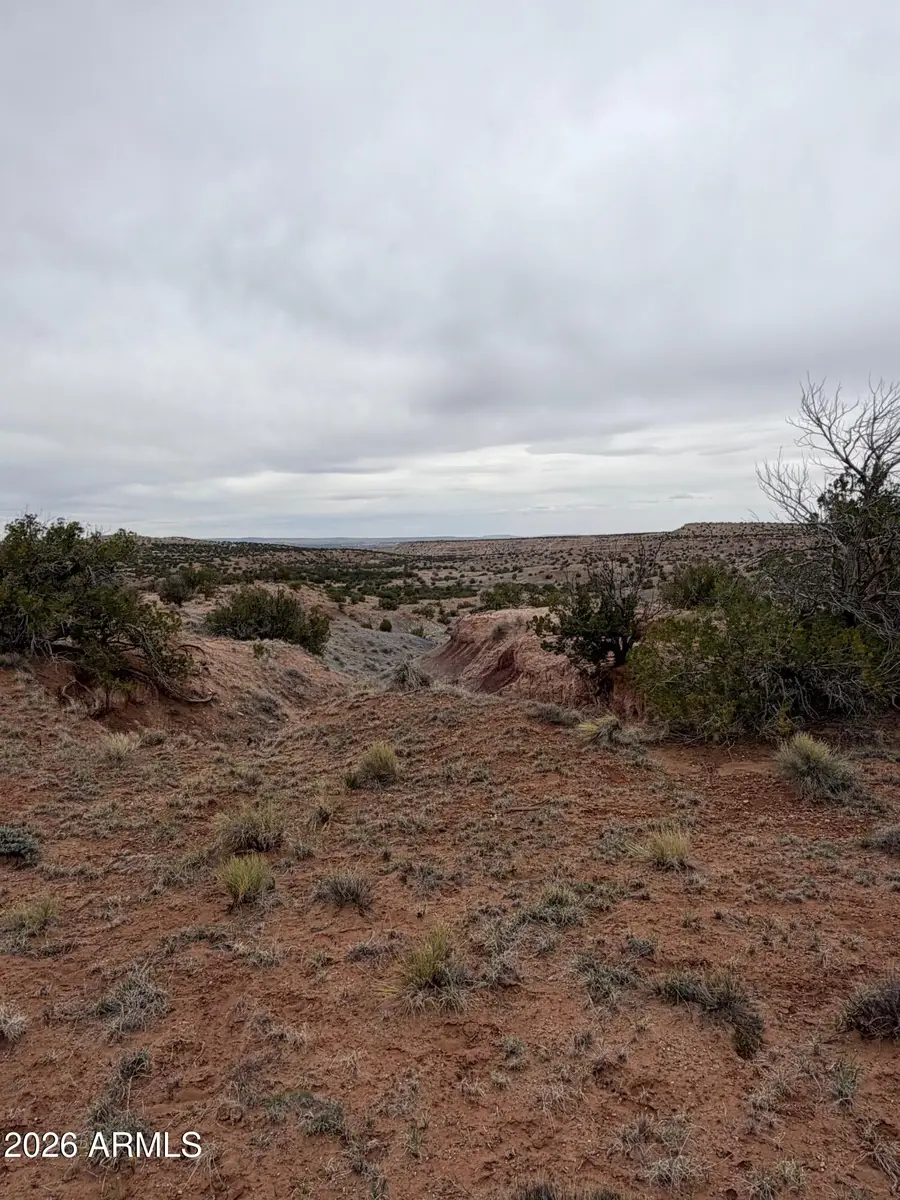 N6124 N N6124 -- #20245008, Saint Johns, AZ 85936 - #3