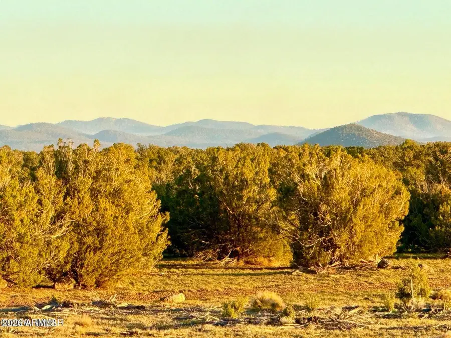 9023 Appaloosa Trl Lot A, 5 Acres --, Show Low, AZ 85901 - #3