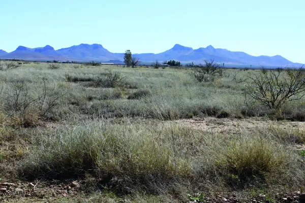 1.38 Acres N San Louis Rey Drive #305, Douglas, AZ 85607