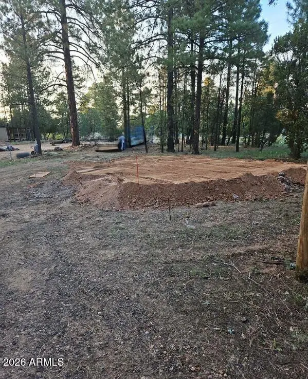 2890 Pine Rim Road, Overgaard, AZ 85933 - #1