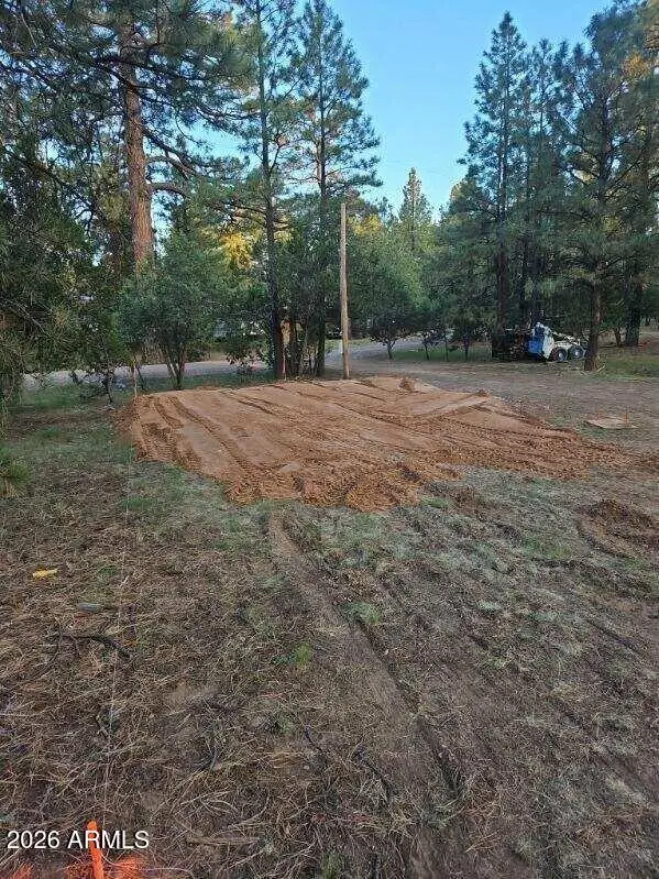 2890 Pine Rim Road, Overgaard, AZ 85933 - #2