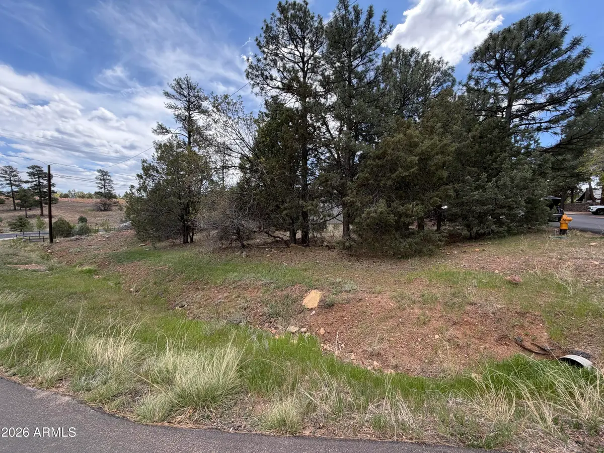 261 S 1st Drive #4, Show Low, AZ 85901 - #1