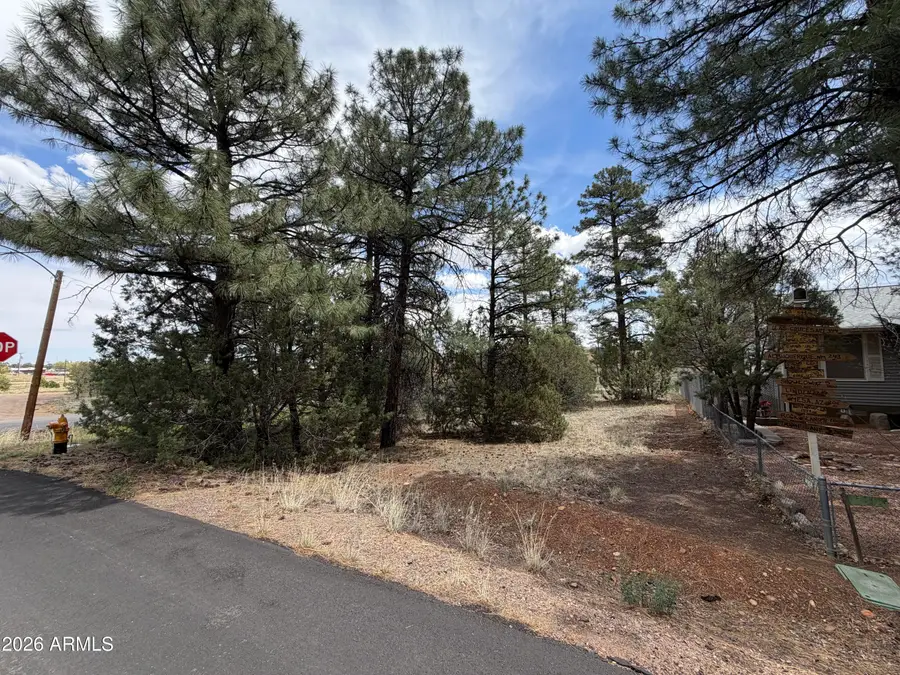 261 S 1st Drive #4, Show Low, AZ 85901 - #2