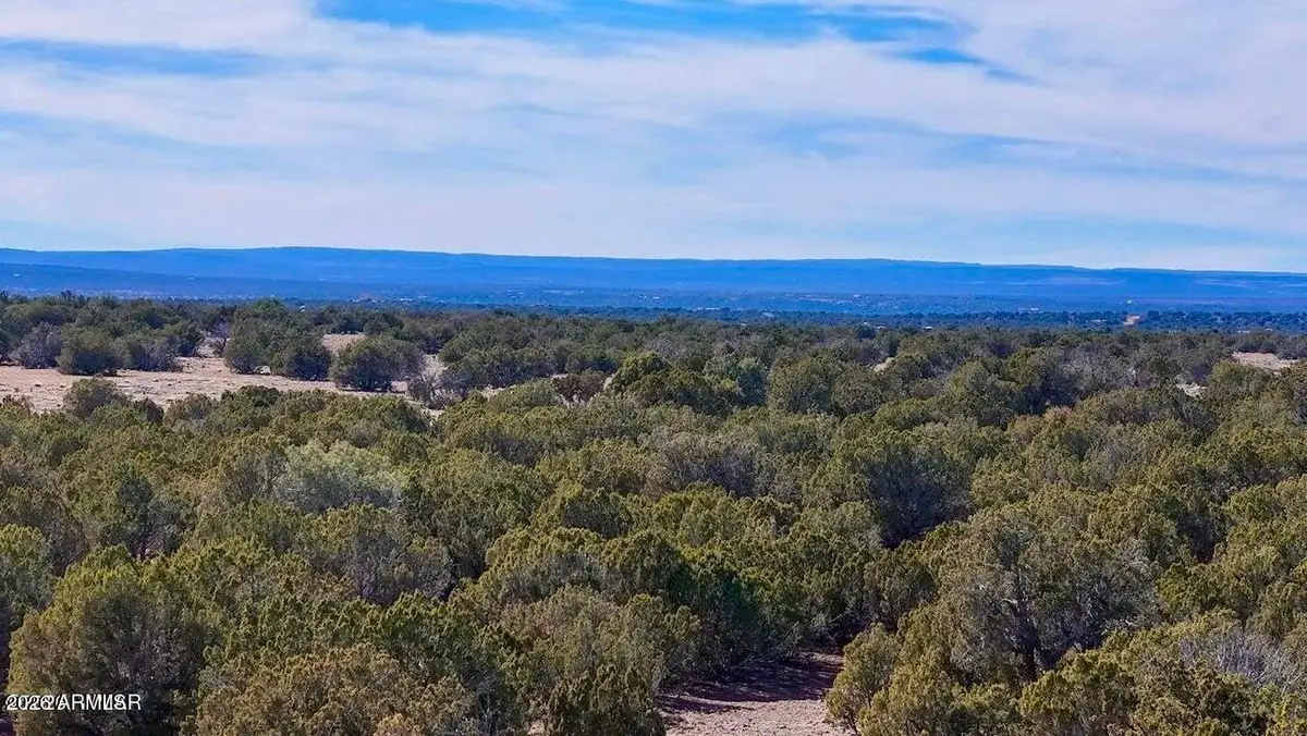 9023 Appaloosa Trl Lot D , 10 Acres --, Show Low, AZ 85901 - #1