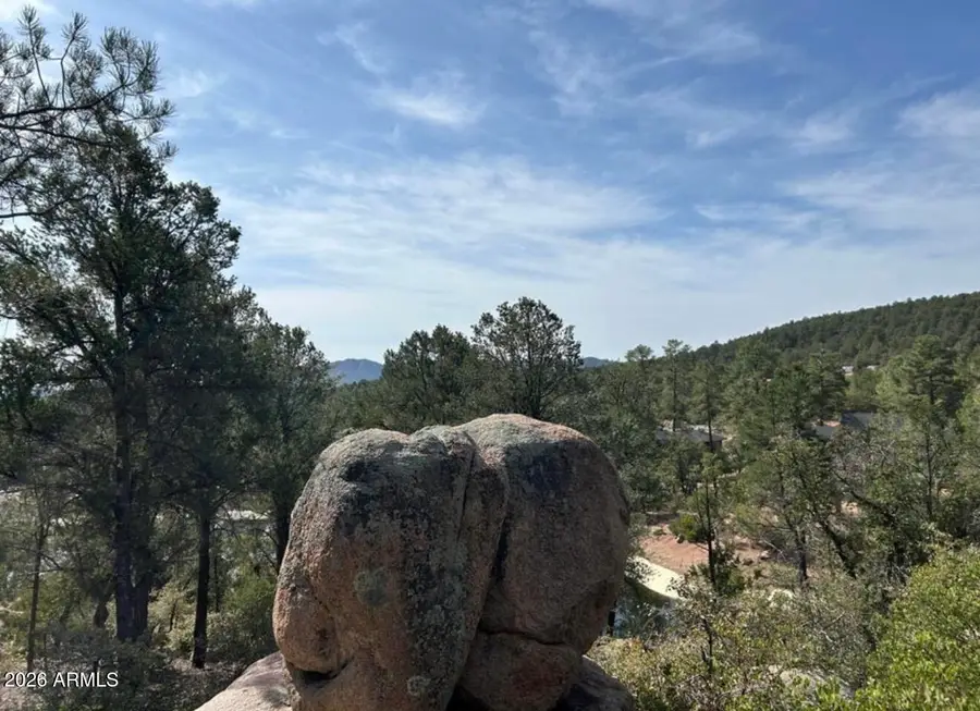 1703 E Redbud Court, Payson, AZ 85541 - #3