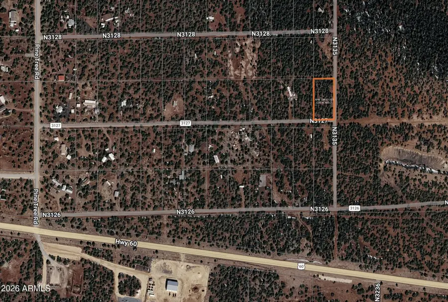 41 County Rd N3127 --, Vernon, AZ 85940 - #2