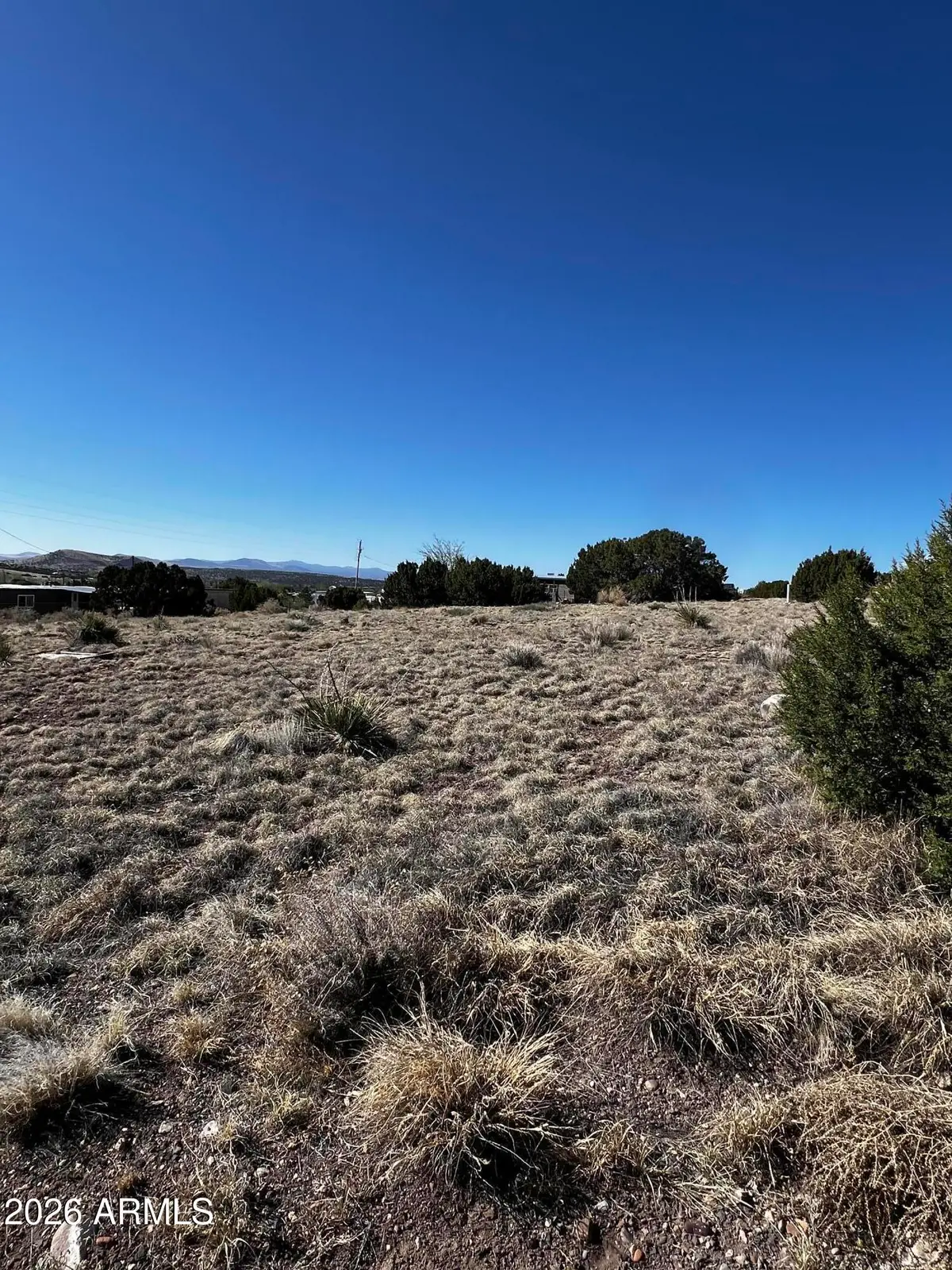 60 Short Lane #207A, Concho, AZ 85924 - #1
