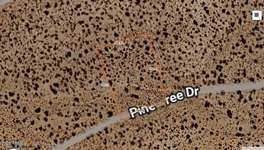 8789 W Pine Tree Drive #256, Willow Beach, AZ 86445 - #2