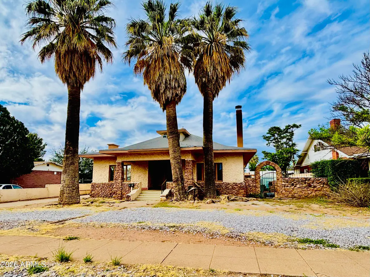 1228 E 9th Street, Douglas, AZ 85607 - #1