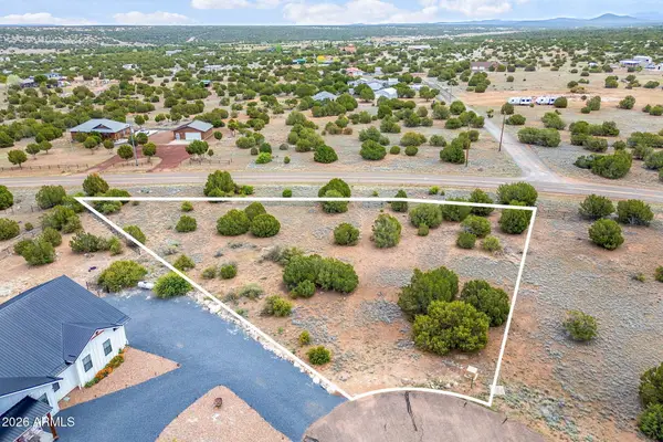 8456 W Yucca Place #63, Show Low, AZ 85901