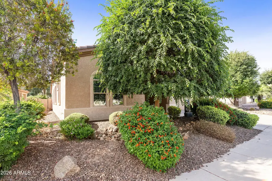 4437 E Jude Lane, Gilbert, AZ 85298 - #2