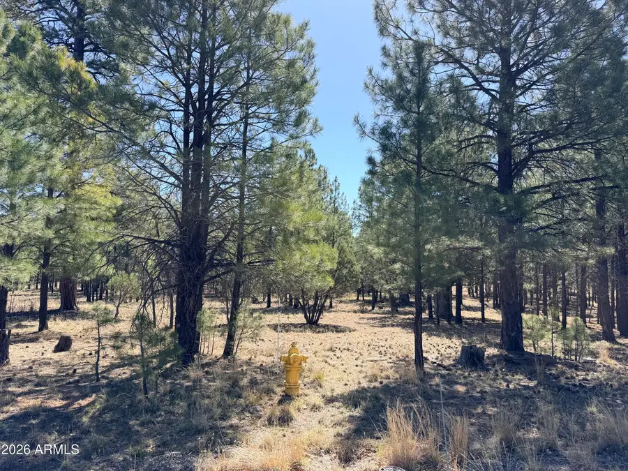 1755 Sugar Pine Drive #232, Happy Jack, AZ 86024 - #3