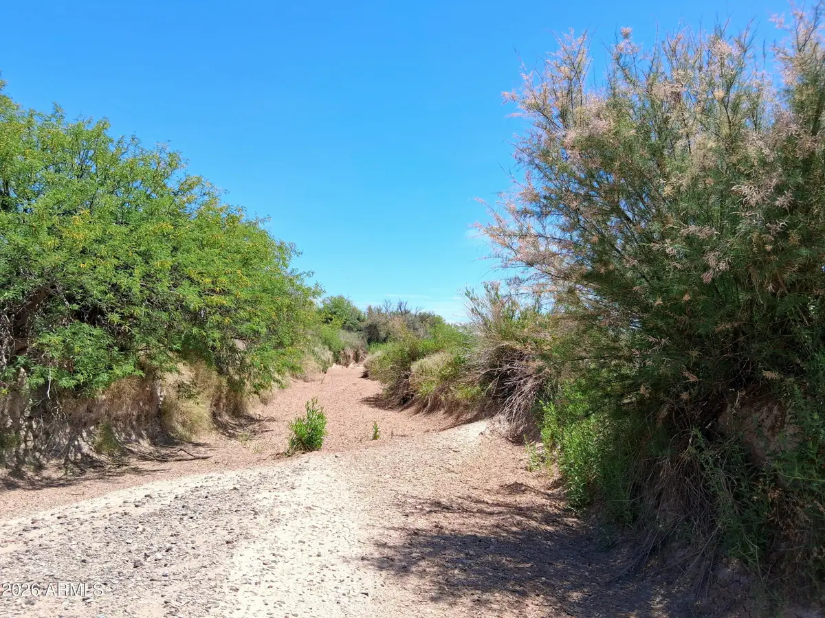 TBD N Mahan Road #2, San Simon, AZ 85632 - #1