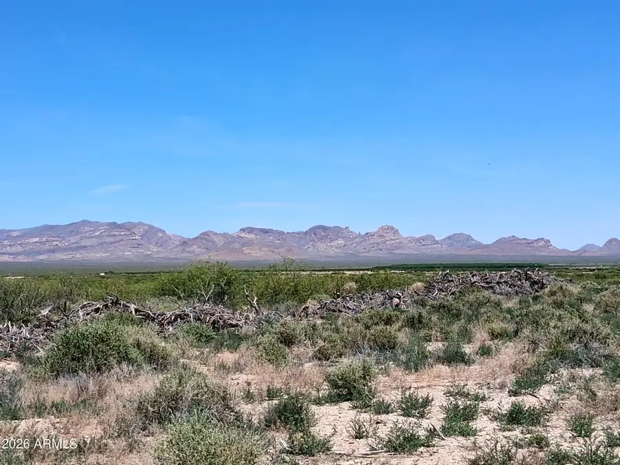 TBD N Mahan Road #2, San Simon, AZ 85632 - #2