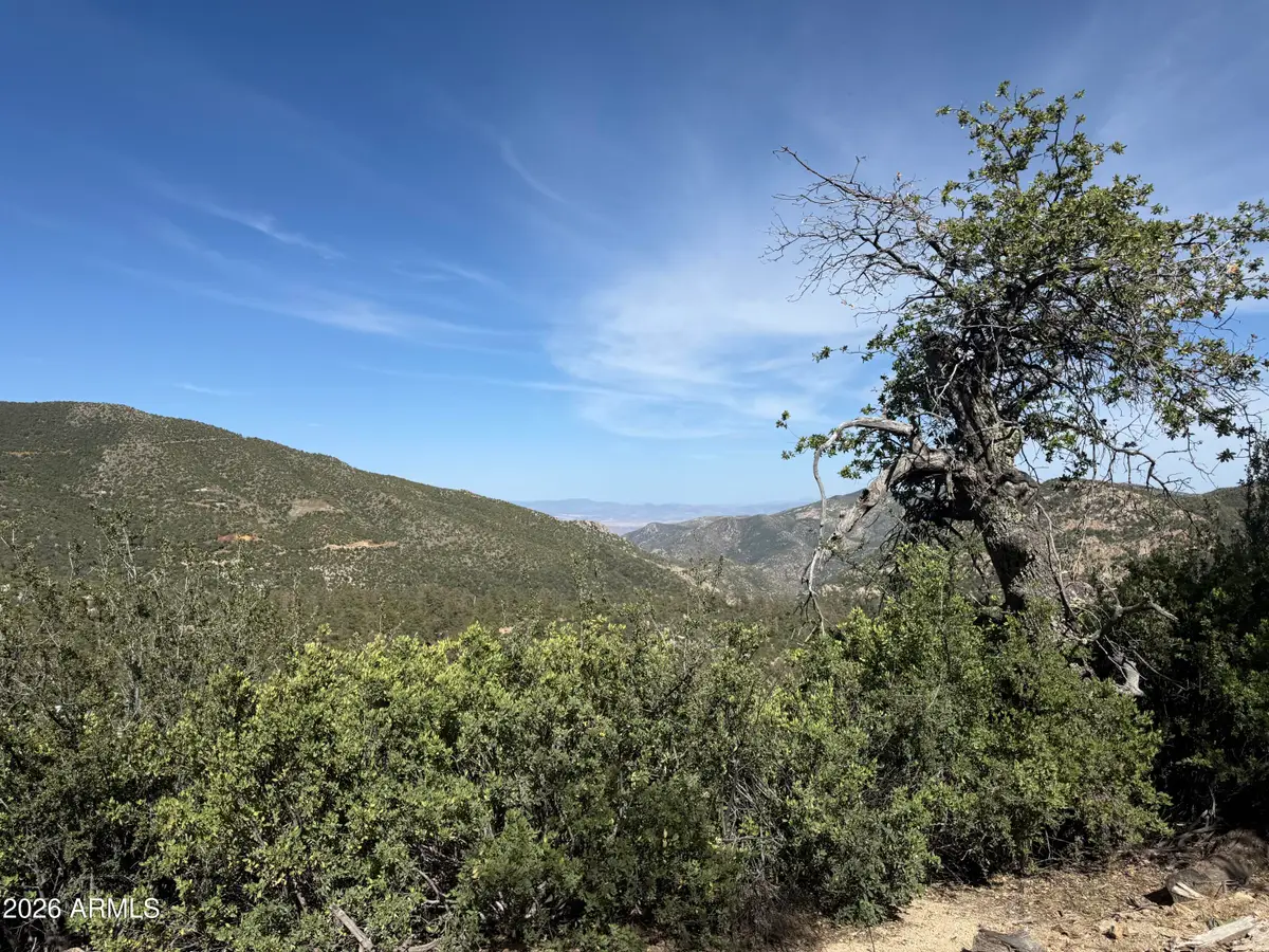 00 E Mountian View Road, Crown King, AZ 86343 - #1