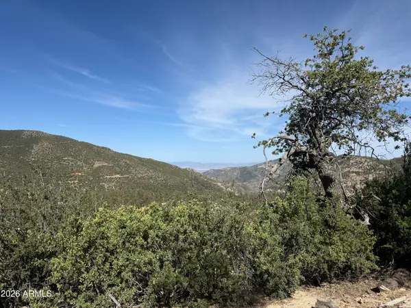 00 E Mountian View Road, Crown King, AZ 86343