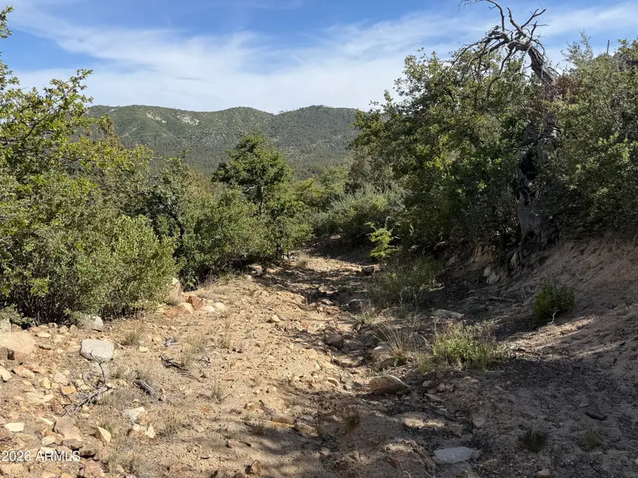 00 E Mountian View Road, Crown King, AZ 86343 - #2