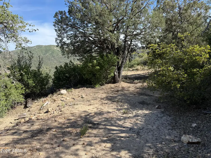 00 E Mountian View Road, Crown King, AZ 86343 - #3