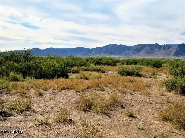 TBD Many Wells -- #315, Portal, AZ 85632