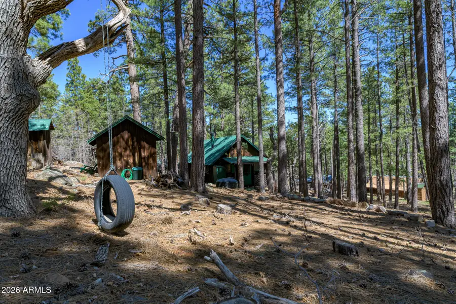 6248 Dairy Lane, Mormon Lake, AZ 86038 - #2