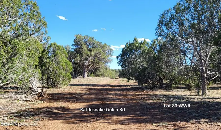 80 S Rattlesnake Gulch -- #80, Williams, AZ 86046 - #3