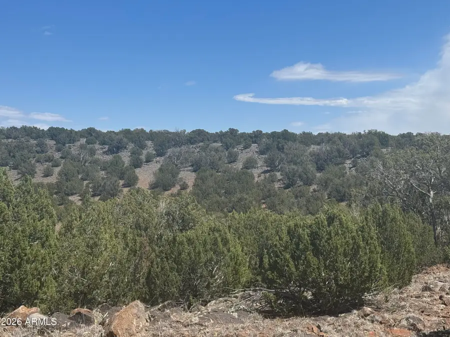Lot 014E Wagon Lane -- #014E, Snowflake, AZ 85937 - #2
