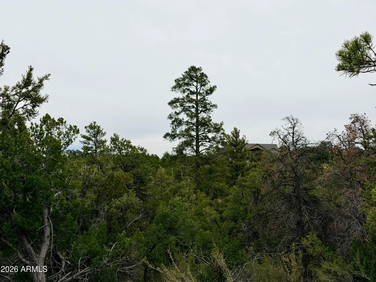 4918 Sunset Ridge Loop #199, Happy Jack, AZ 86024 - #1