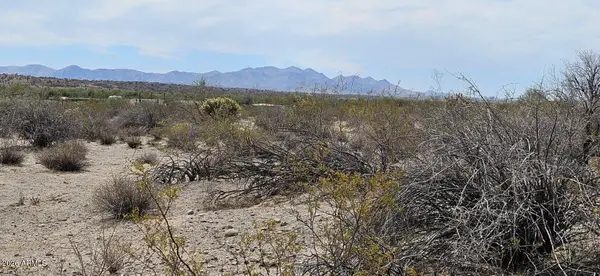 29115 W Dixileta Drive #144, Wittmann, AZ 85361